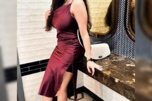 Professional Escort Agency in Rajnandgaon Premium Models